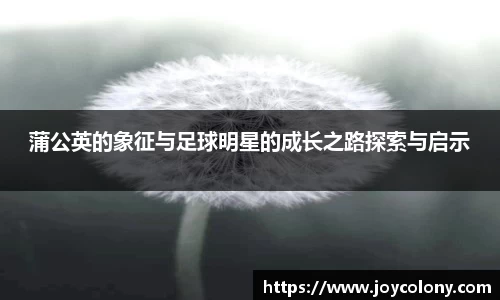 vsports体育在线官网