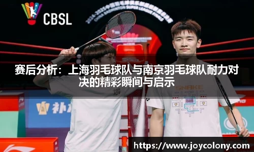 赛后分析：上海羽毛球队与南京羽毛球队耐力对决的精彩瞬间与启示